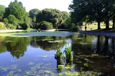 Rockbond Underwater Mortar used to waterproof the concrete at Queen's Park Lake, Brighton.
